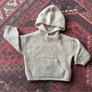 Zara Knit Hoodie Sweater